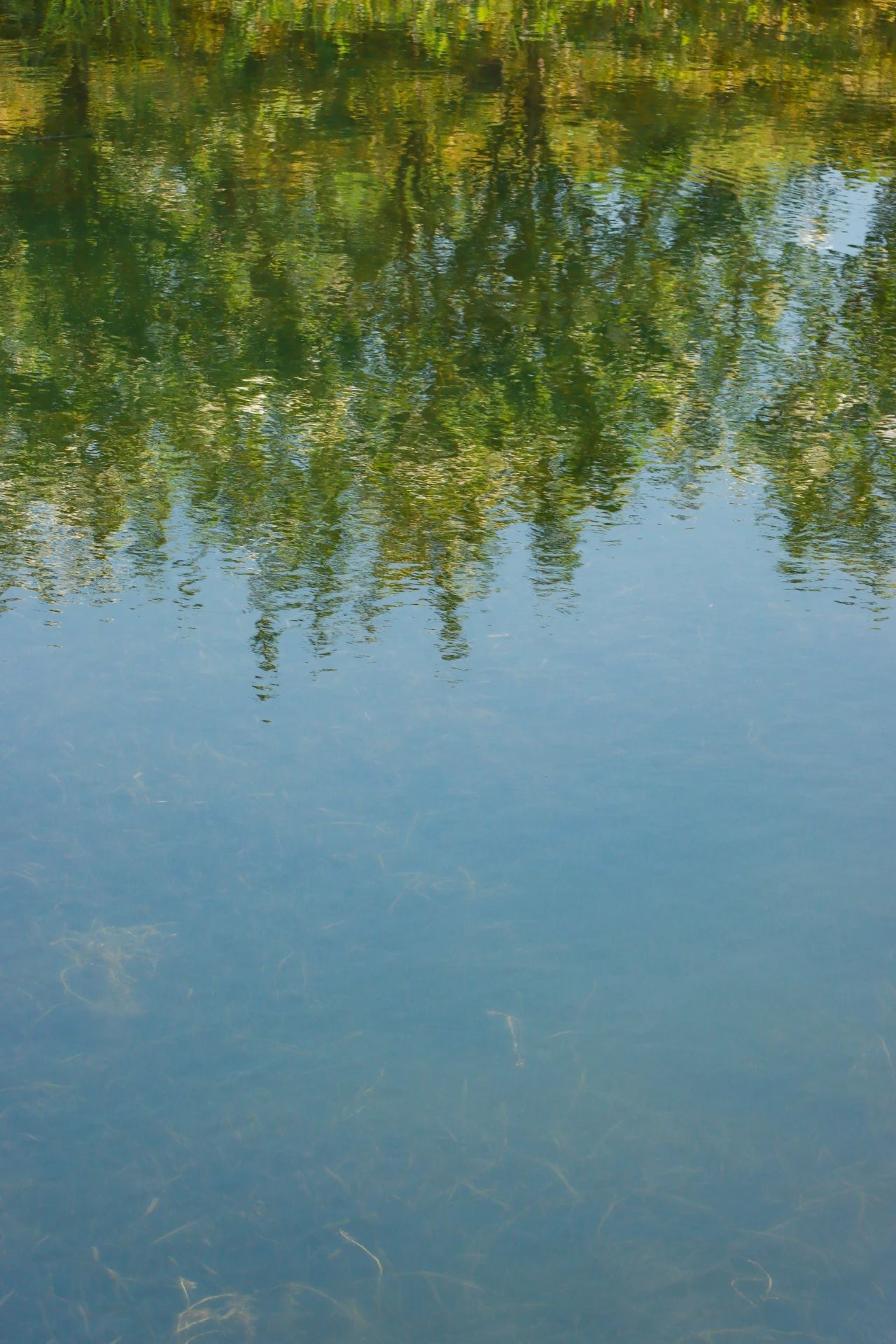 188c2b930f13fa96ef962f02683f9f1e.jpg